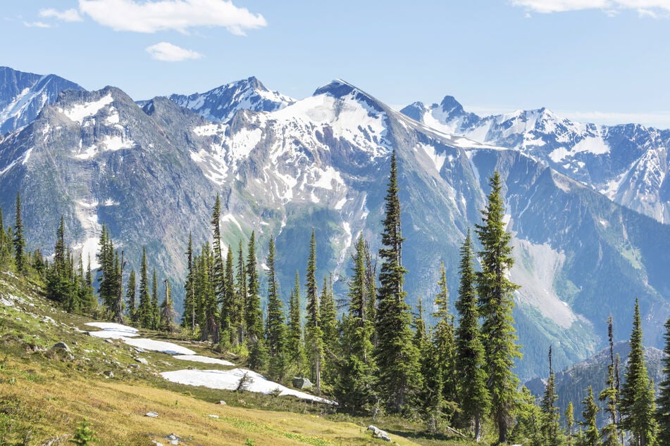 Die klimatischen Bedingungen in Alaska sind für Krokodile oder Alligatoren nicht besonders gut geeignet. (Symbolbild)