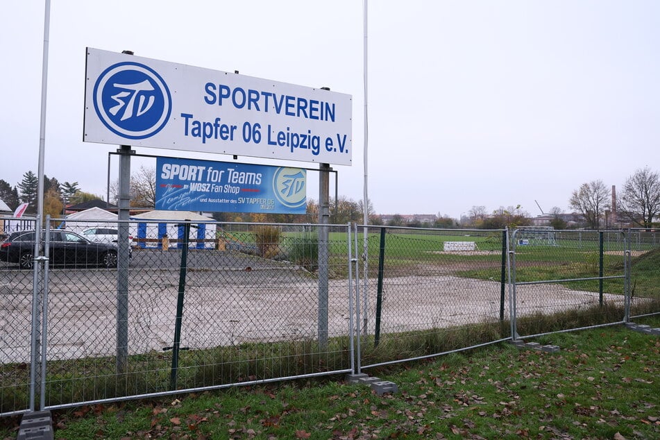 Die Auer Veilchen müssen am Sonntag im Sachsenpokal bei den Amateuren von Tapfer Leipzig ran.