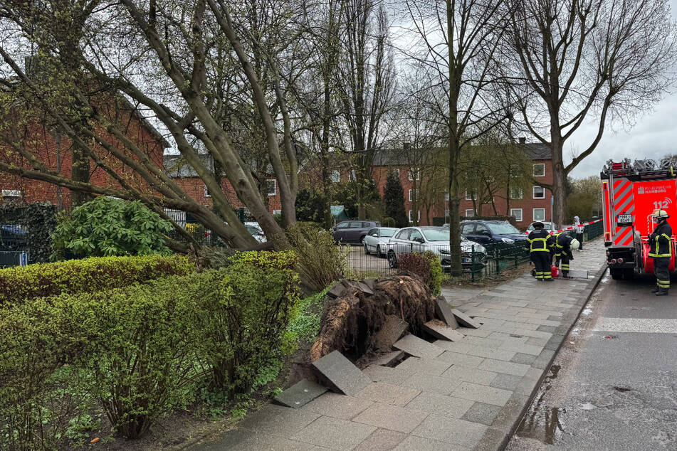 Die Feuerwehr musste zu etwa 40 Einsätzen in Hamburg ausrücken.