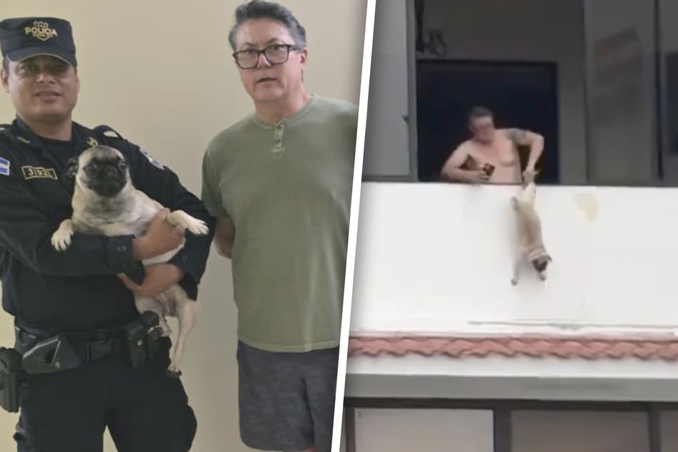 Schockierendes Video: Ex-Fußballprofi soll Hund an Hinterbeinen aus fünftem Stock gehalten haben