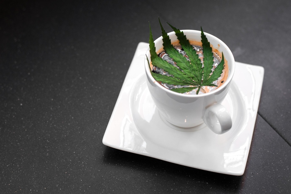 California considers legalizing cannabis cafés
