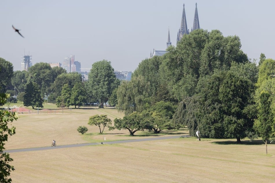 Das Kampfmittel liegt auf Höhe des Rheinparks im Stadtteil Deutz.