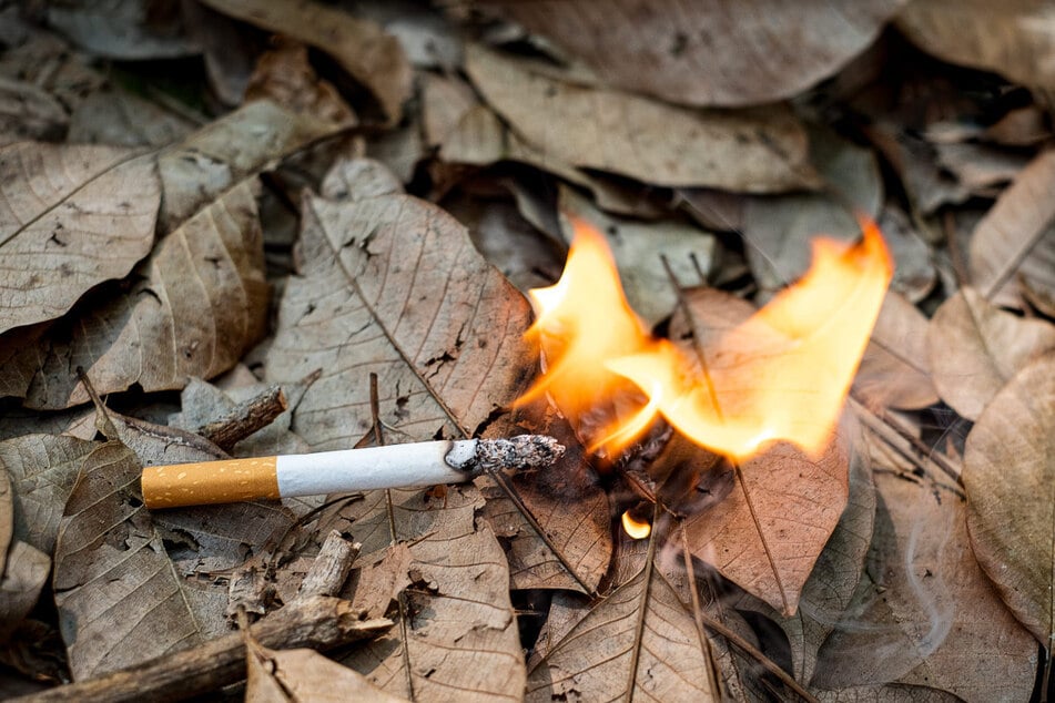 Für die kommenden Tage erwartet man in immer weiteren Teilen Bayerns die Stufe 4 von 5 im Waldbrandgefahrenindex. (Symbolbild)