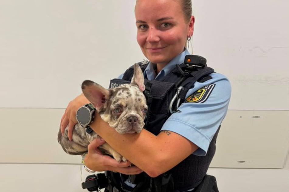 An Zuwendung mangelte es den kleinen Hunden bei der Bundespolizei nicht.