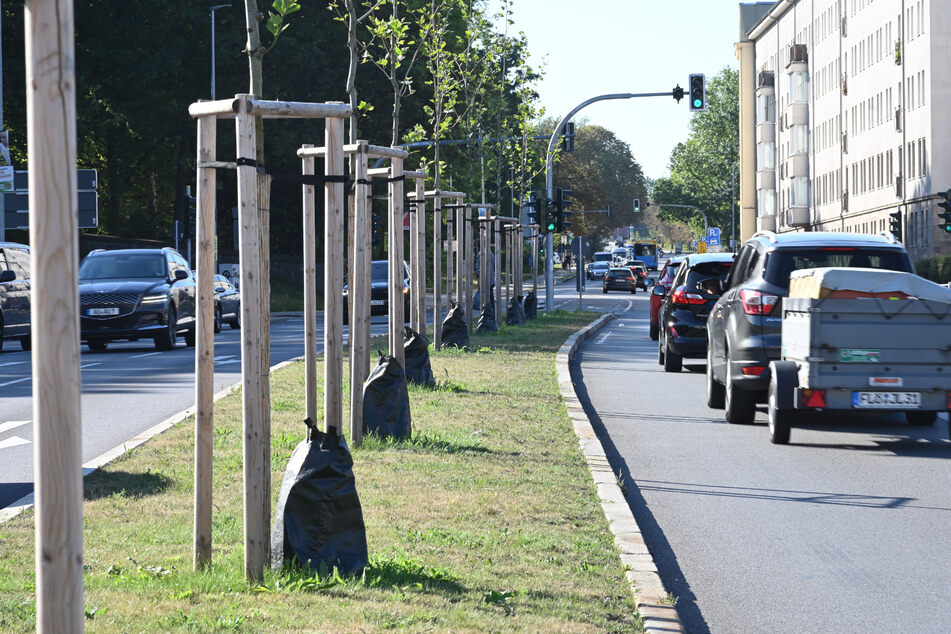 Diese Wassersäcke an der Zschopauer Straße befinden sich neben den Bäumen.