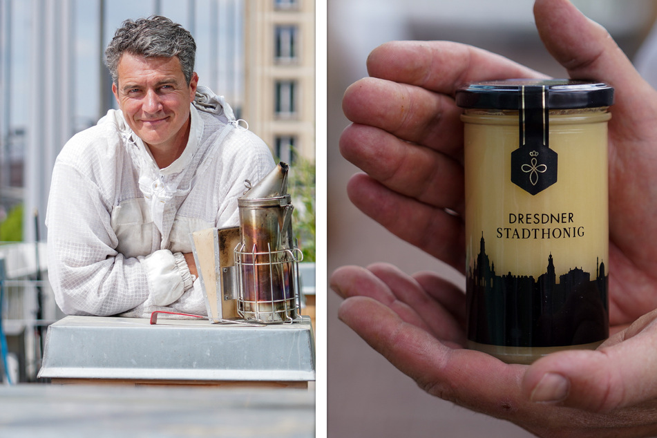 Der "Dresdner Stadthonig" von Rico Heinzig (47) wurde als einziger deutscher Honig mit dem "London Honey Award" ausgezeichnet.