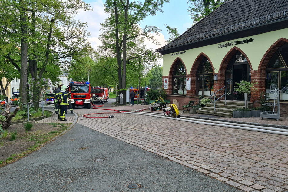 Die Feuerwehr musste am Sonntag zu einem Brand am Zwickauer Hauptfriedhof ausrücken.