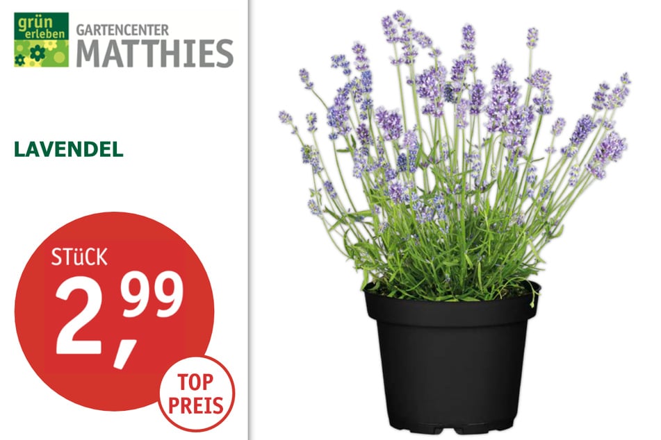 Dieses große Gartencenter hat am Sonntag (5.5.)