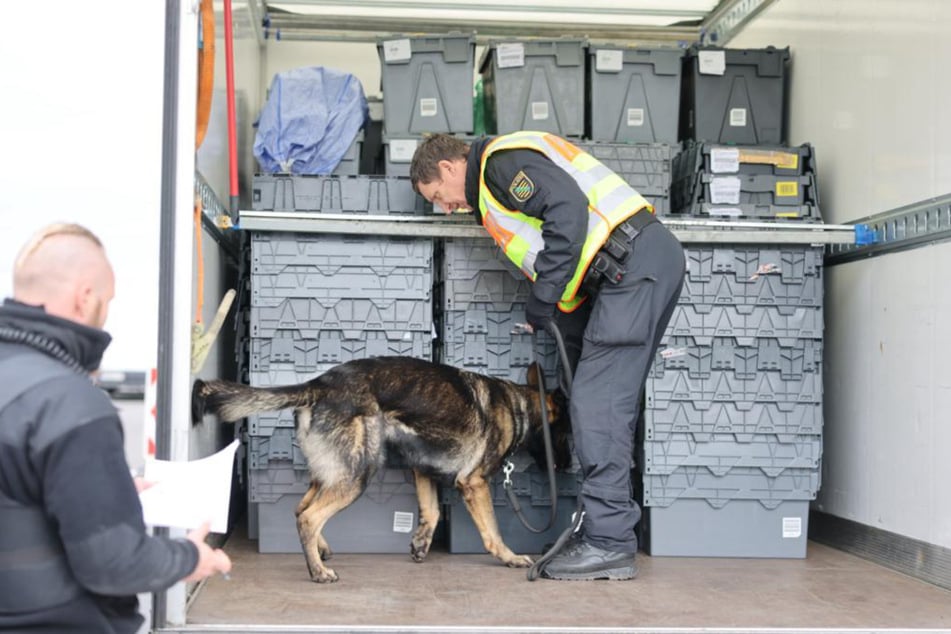 Die Polizei hat auch Drogenspürhunde zur Hilfe genommen.