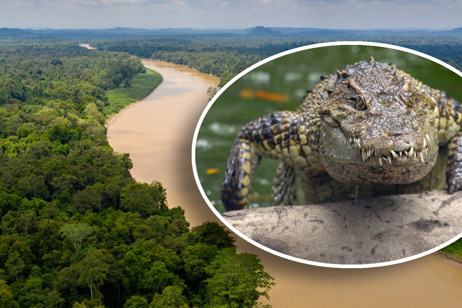 Schon vier Tote! Killer-Krokodile terrorisieren ganzen Landstrich