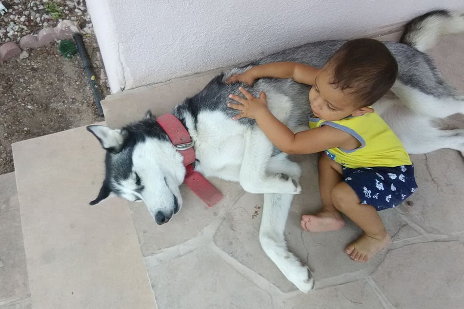 Dieses Foto wurde am 22. August 2018 gepostet. Damals vermisste Familie Ruiz ihren Hund Bentley seit zwei Tagen. Es sollten noch viele Jahre folgen.