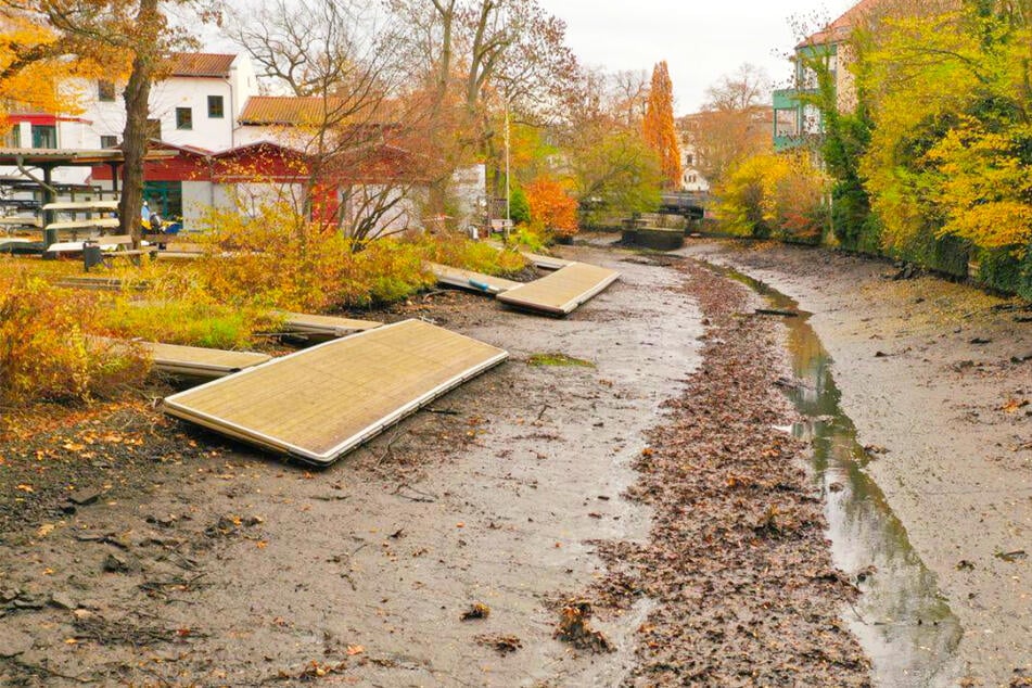 Leipzig: Leipzigs Flüsse plötzlich fast leer: Was ist da los?