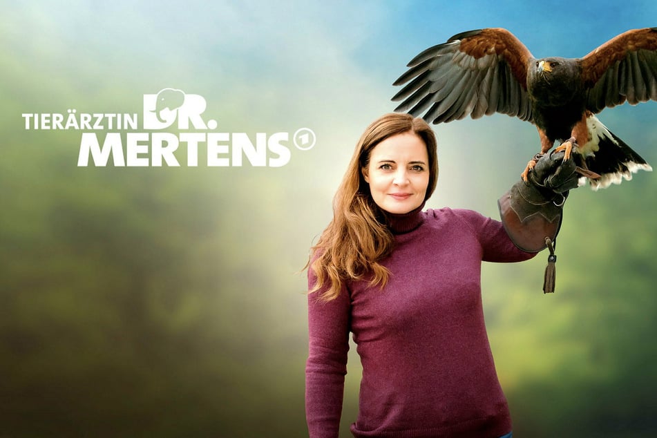 Elisabeth Lanz (51) als Tierärztin Dr. Mertens wird in einer weiteren Staffel zu sehen sein.