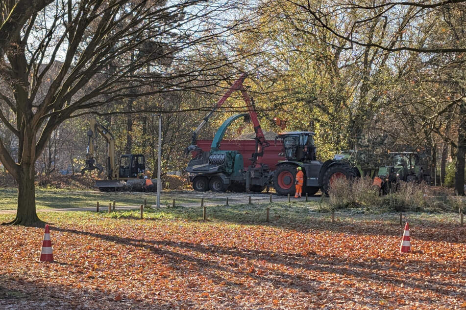 Am Boden werden die Stämme zu Kleinholz gemacht.