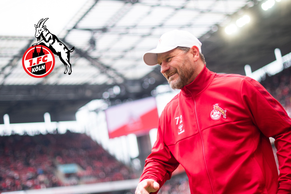 Wer beerbt Hector als Kapitän beim 1. FC Köln? Steffen Baumgart nennt vier Kandidaten