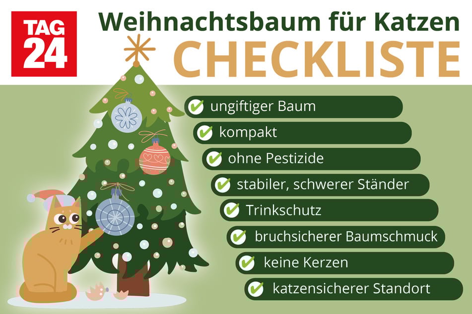 Mit einfachen Maßnahmen kann man den Weihnachtsbaum katzensicher machen.