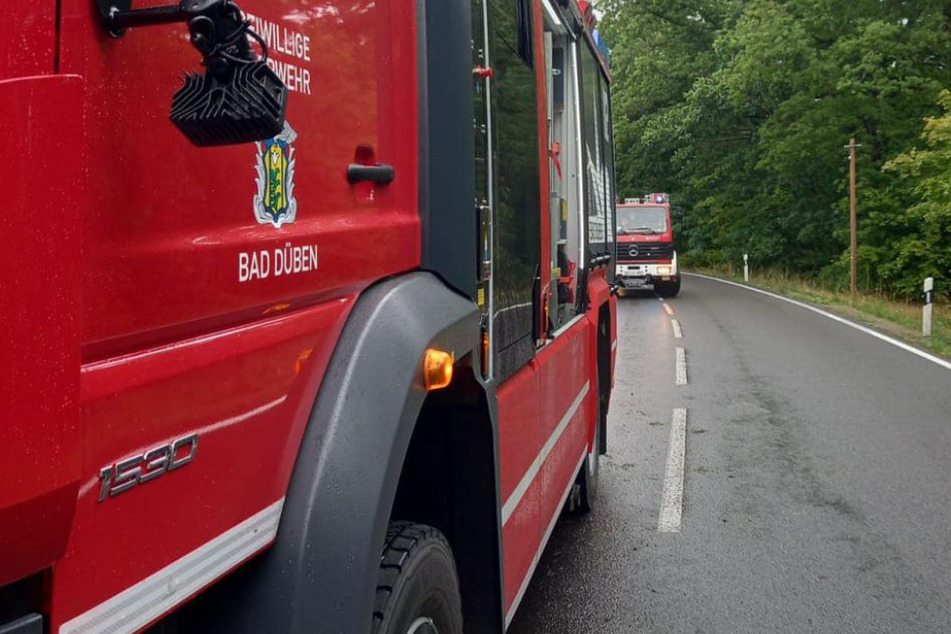 Pickup kracht auf B2 nahe Leipzig gegen zwei Bäume: Fahrer (†81) tödlich verletzt