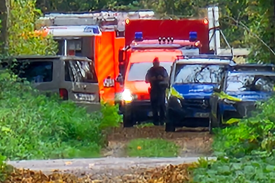 Der Forscher wurde seit dem 15. Oktober vermisst und nun nach Tagen in einem Waldstück tot aufgefunden.