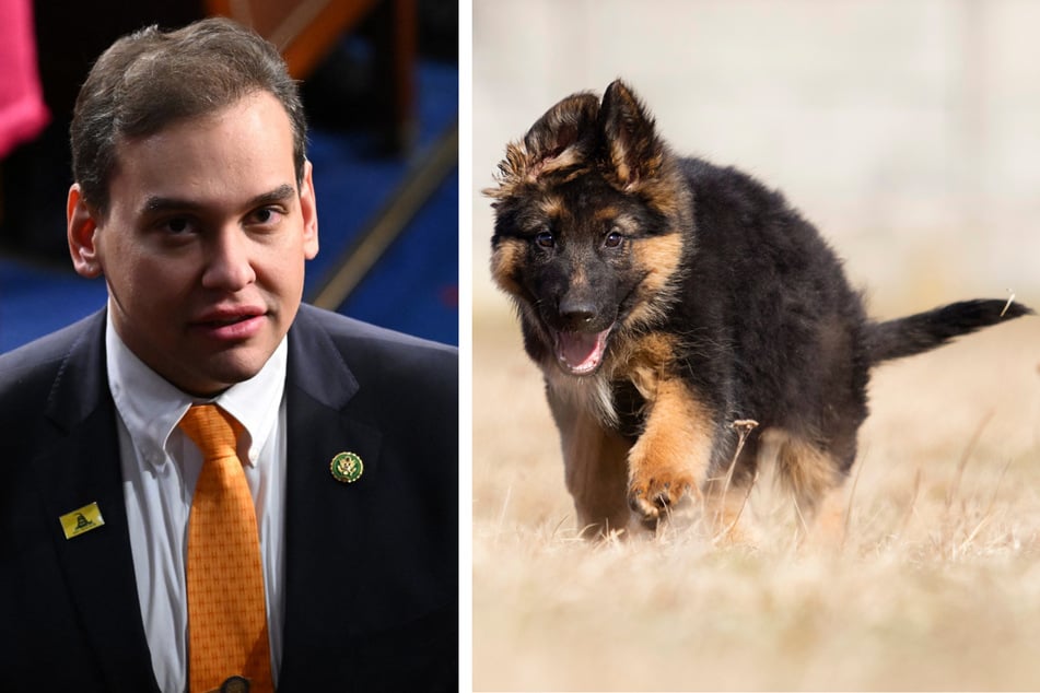 New York Republican Rep. George Santos has been accused of ripping an Amish farmer off with a bad check in exchange for two puppies.