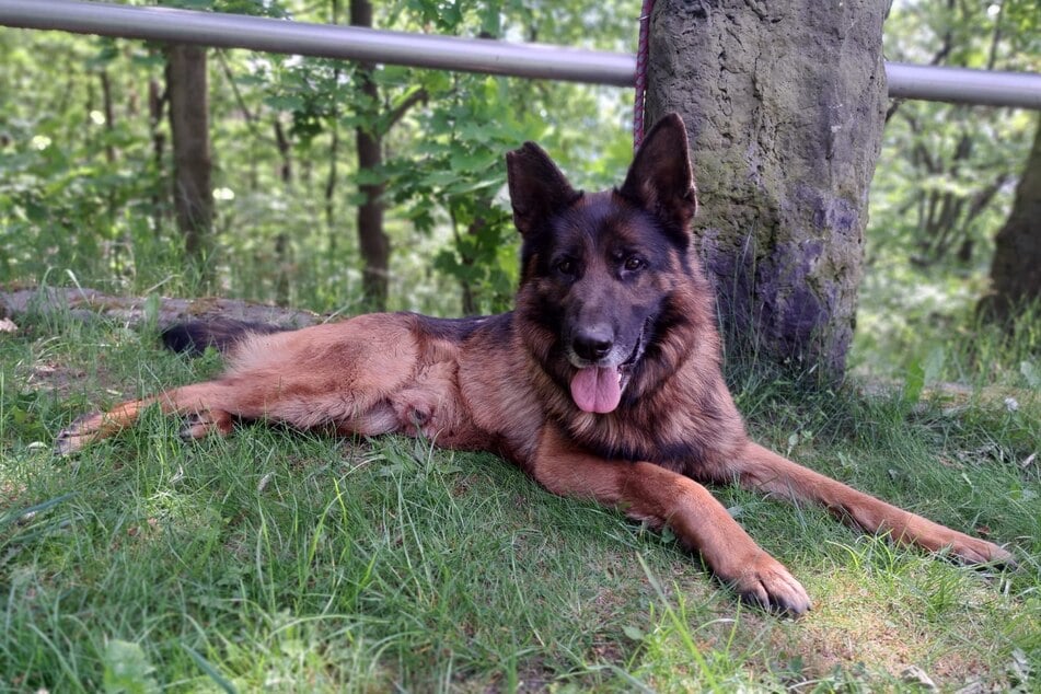 Kayo freut sich auf Menschen, die ihm gewachsen sind.