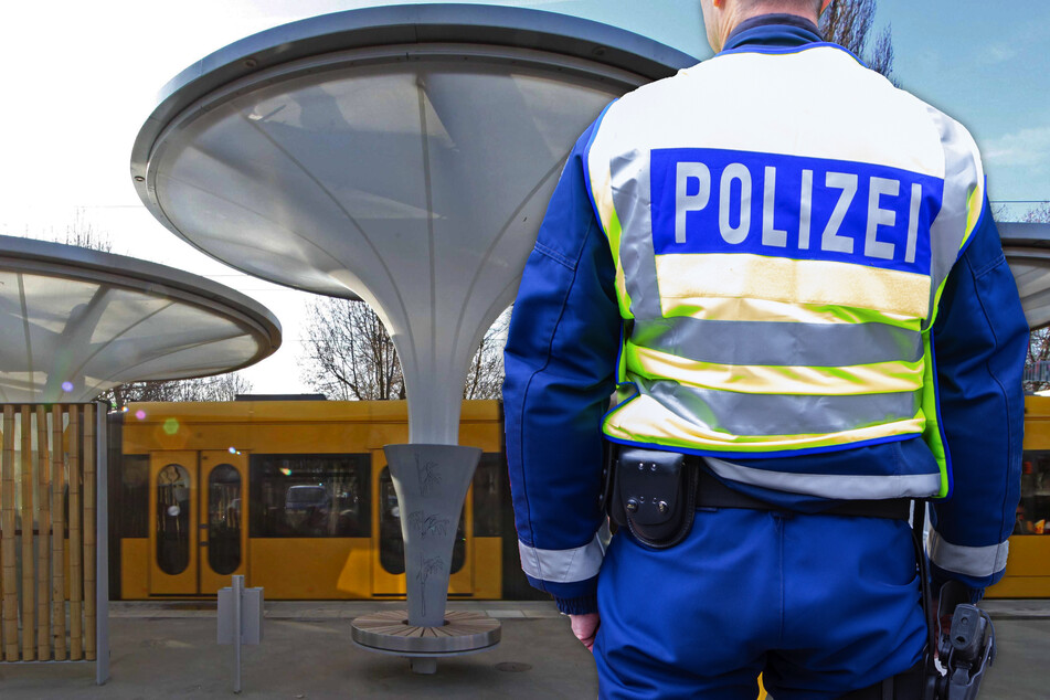 Dresden: Mann bei Streit am Dresdner Zoo schwer verletzt: Polizei sucht Zeugen
