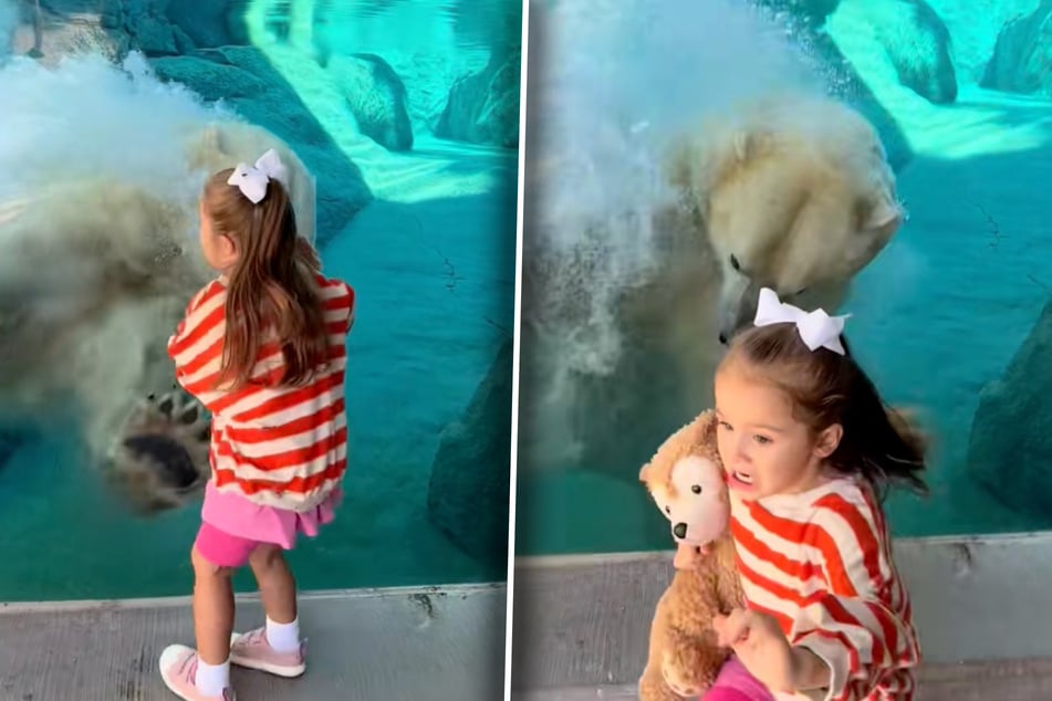 Der Eisbär ist in Sekundenschnelle da. Lennon ergreift völlig überrumpelt die Flucht.