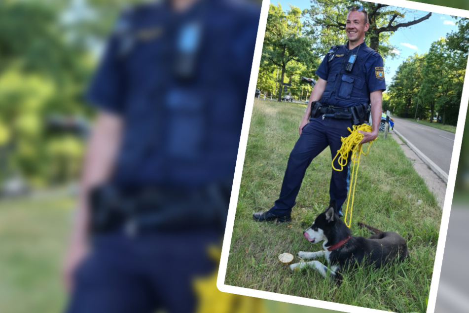 Happy End: Einer der Polizeibeamten hält den entlaufenen Hund an der Leine. Der genießt derweil sein Wurstbrot.