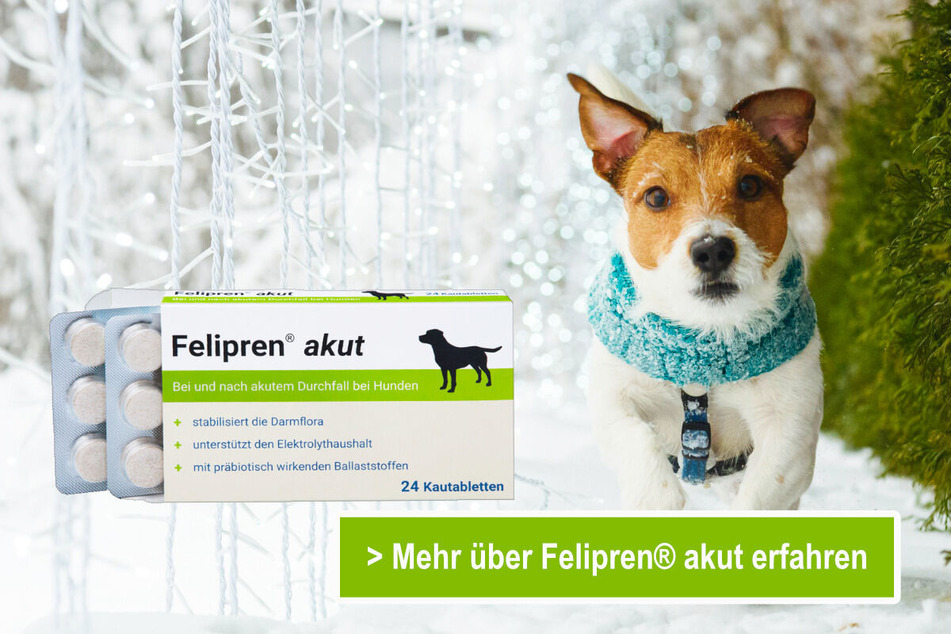 Felipren® akut ist die natürliche Alternative bei Hundedurchfall.