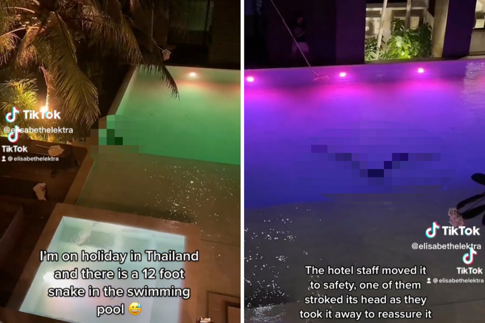 Schock-Moment im Urlaub: Frau entdeckt 4-Meter-"Monster" im Pool!