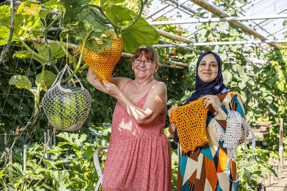 Sylvia Benaouda (64, l.) und Mervat Sharif (55) haben für die Kürbisse Netze gehäkelt.