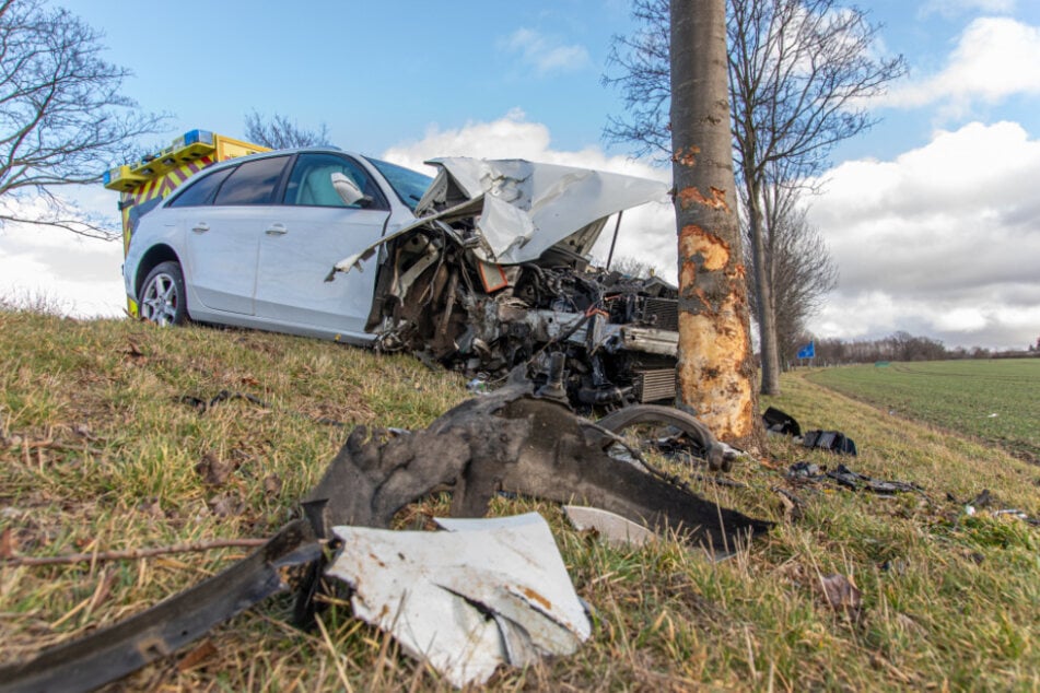 Der Audi krachte gegen einen Baum am Straßenrand.