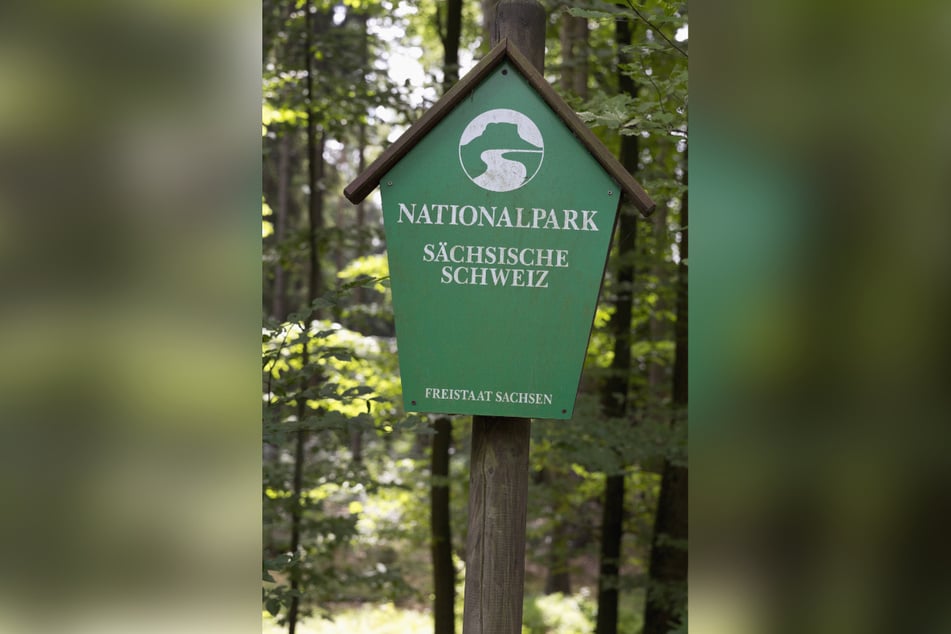 Deutschland verfehlt die Ziele, weil man nur Nationalparks und Teile der Biosphärenreservate anrechnet - aber kaum Naturparks.