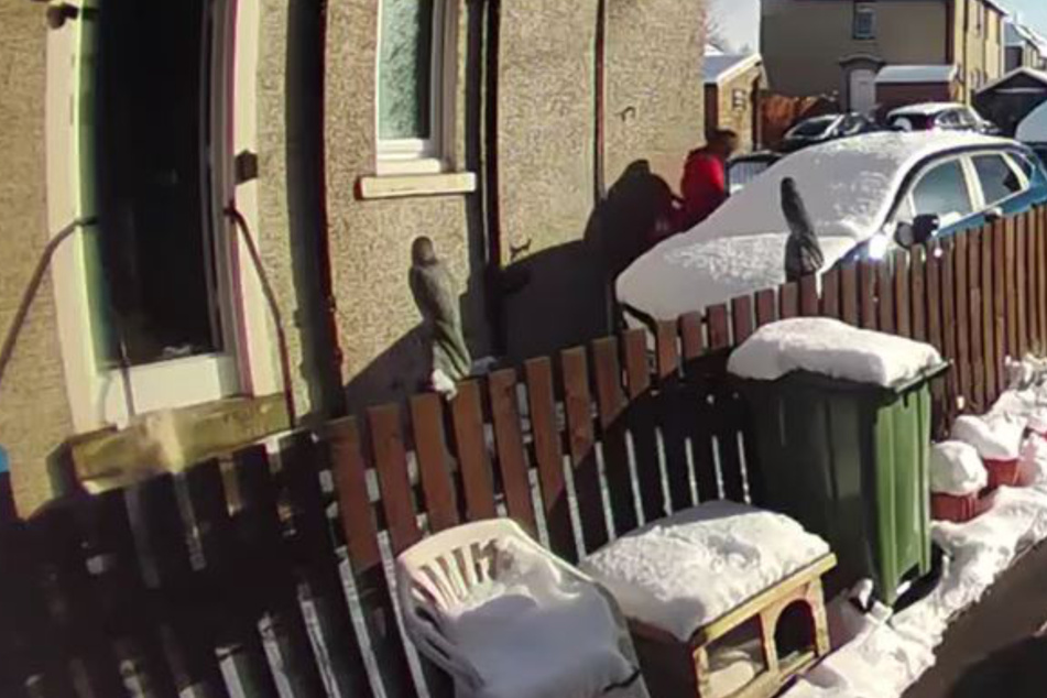 Der Paketbote ließ die Frau allein zurück.