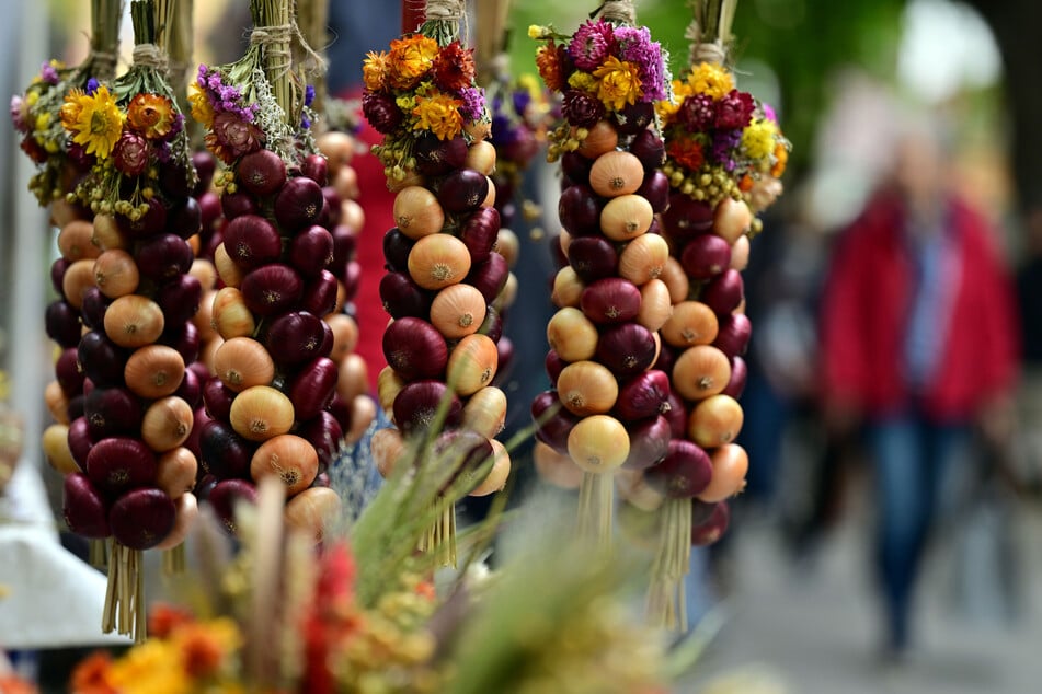 Im Mittelpunkt stehen die traditionellen rot-weißen Zwiebelzöpfe aus dem nordthüringischen Städtchen Heldrungen (Kyffhäuserkreis). (Archivbild)