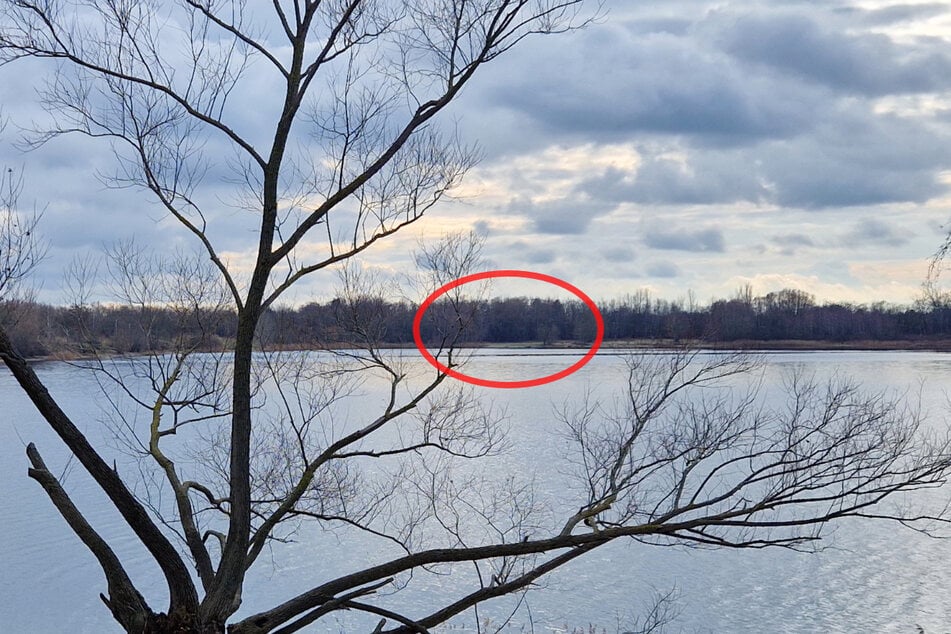 Anfang Februar fand man ihre Leiche am Kulkwitzer See auf einem Schotterparkplatz hinter dem alten Strandbad (roter Kreis).