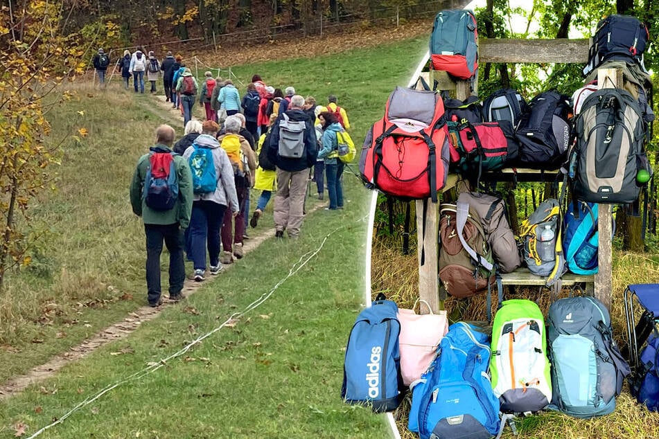 Dresden: Liebeshungrige sollen sich im Grünen verlieben: Dresdner Singles setzen auf Natur statt Dating-Apps