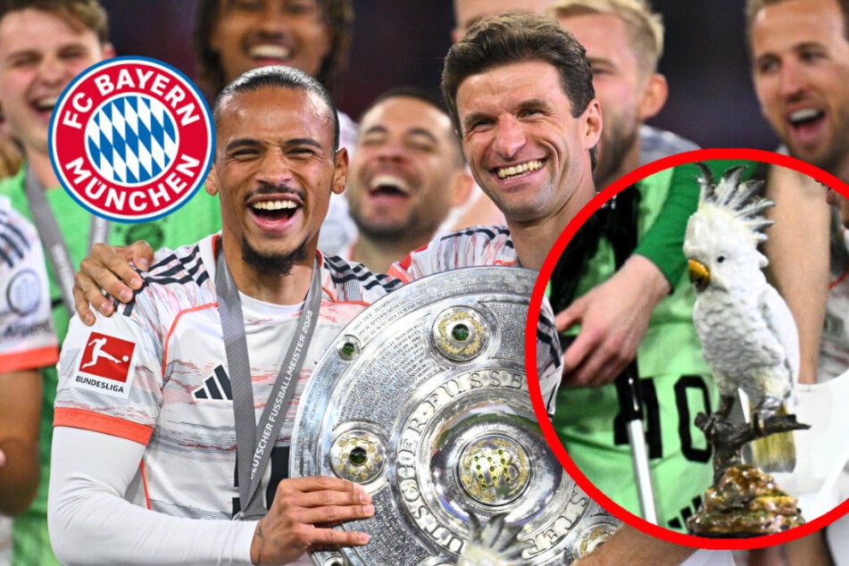 FC Bayern: Was steckt hinter dem Kakadu bei der Meisterfeier?