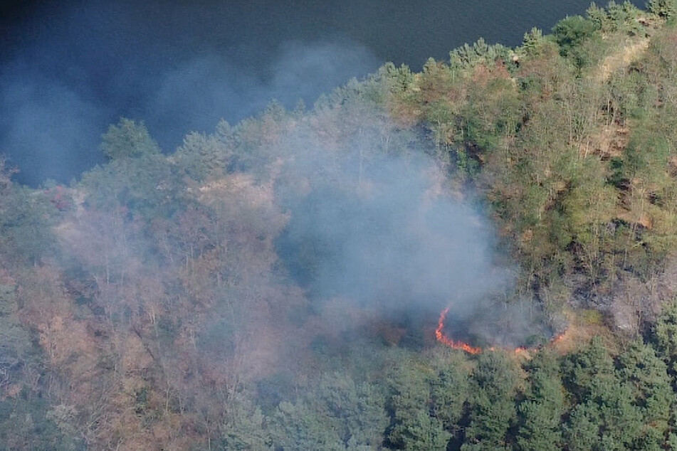 Tausende Quadratmeter Wald im Jerichower Land brennen: Löscharbeiten machen Probleme