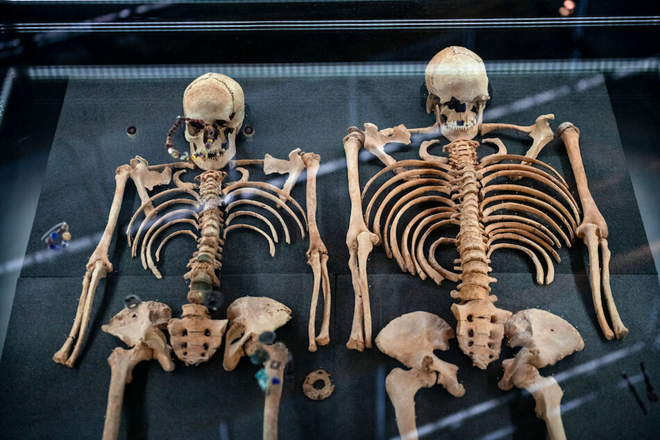 Die Knochen aus einem Doppelgrab von zwei vermutlichen Opfern der Pest werden ausgestellt. Die zahlreichen Pestwellen in Mittelalter und Neuzeit gehören zu den großen Krisen der bayerischen Geschichte.