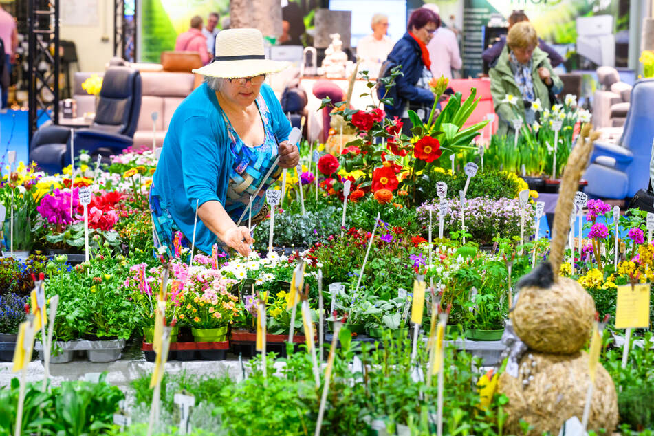 Das sind die Highlights der Messe DRESDNER OSTERN 2026
