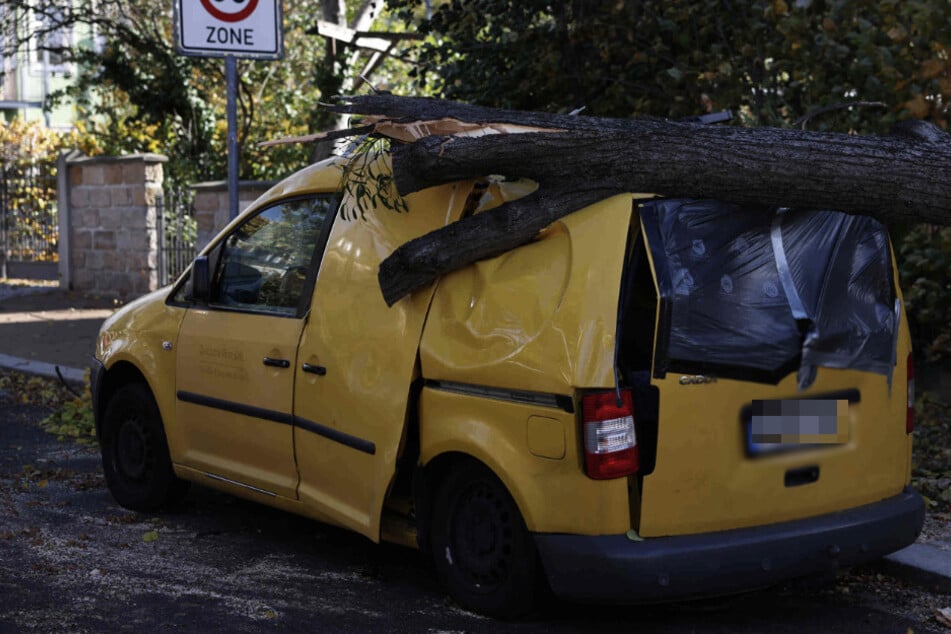 Ein VW Caddy wurde von einem Baum erwischt. Er trug erhebliche Schäden davon.