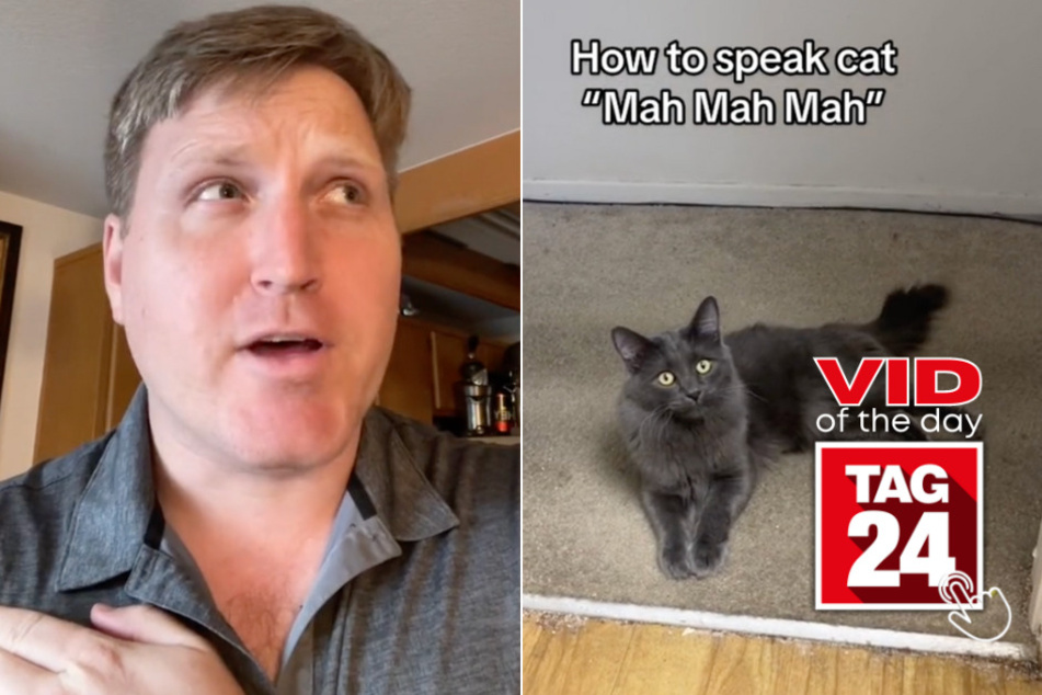 viral videos: Viral Video of the Day for July 2, 2023: Cat whisperer stuns TikTok users with amazing tip!