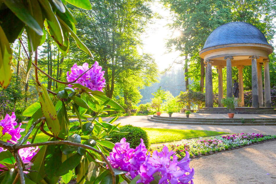 In den sächsischen Staatsbädern wartet pure Entspannung und das erste Frühlingserwachen.