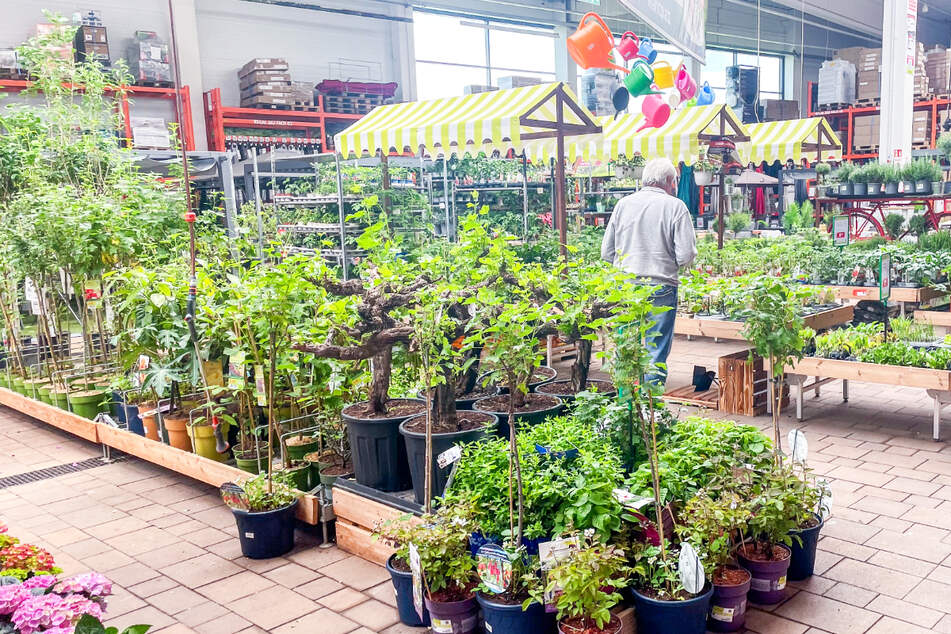 Kräuter- und Gemüsefest bei BAUHAUS mit diesen coolen Aktionen