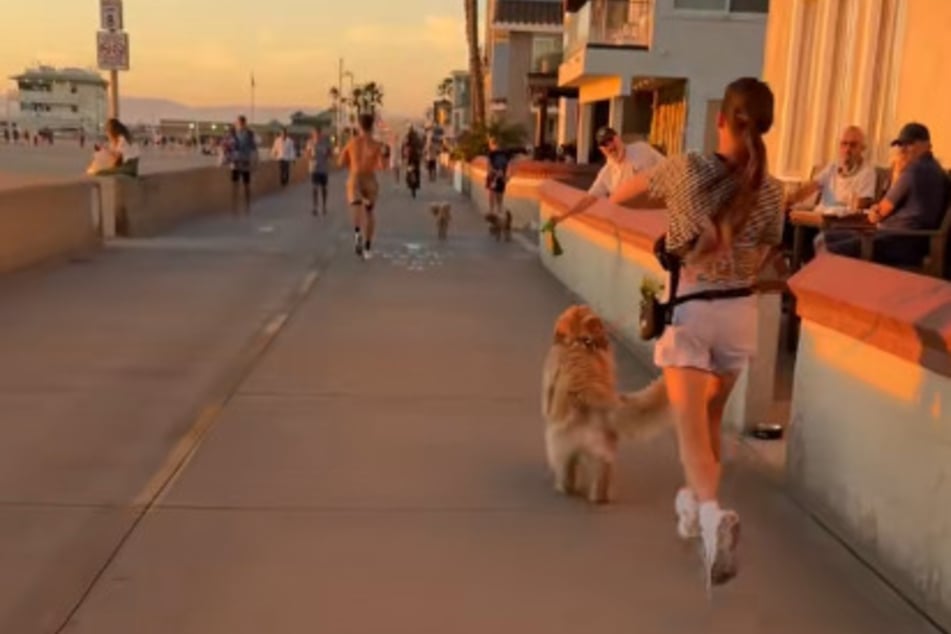 Der Grund: Sein Freund hat immer ein paar Leckerlis dabei.