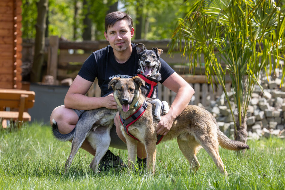 Sascha Winkler (35) hat die ukrainischen Straßenhunde Laika (l.) und Goofy (r.) aufgenommen.