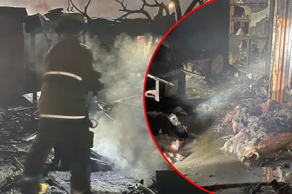 Feuerwerk löst Großeinsatz aus: Ein Mann kommt ums Leben, weitere Menschen verletzt