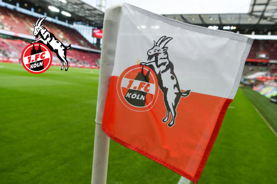 Nach Faustschlag in Stuttgart: Polizei ermittelt gegen Funktionär des 1. FC Köln!