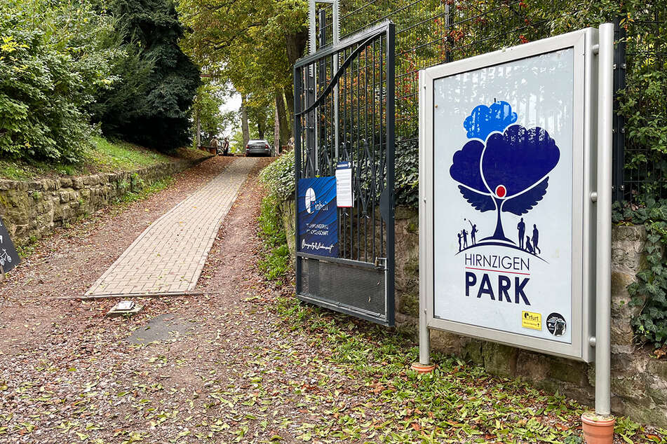 Dieser Park in Erfurt wird im Sommer zum riesigen Open-Air-Kino