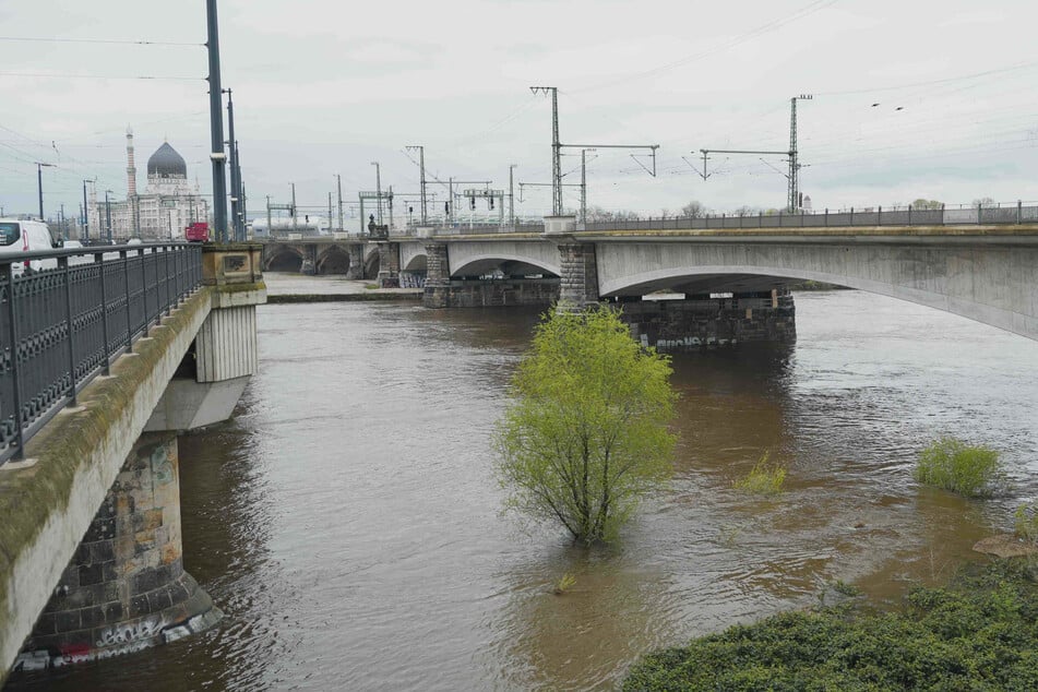 Dresden: Elbe-Hochwasser steigt weiter: Jetzt bis zu 4,40 Meter in Dresden erwartet!